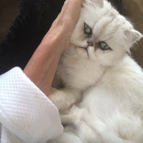 Meet your Posher, Kathi - Picture 8 of 8